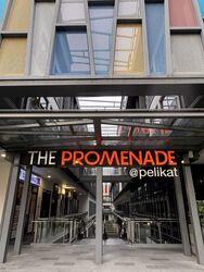 The Promenade@Pelikat (D19), Shop House #577034631